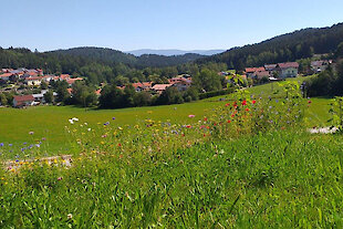 Ferienregion Hirschenstein in Bayern